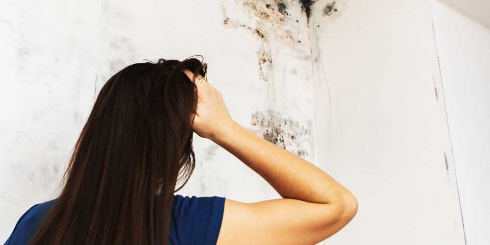 Damp-and-Mould-Health